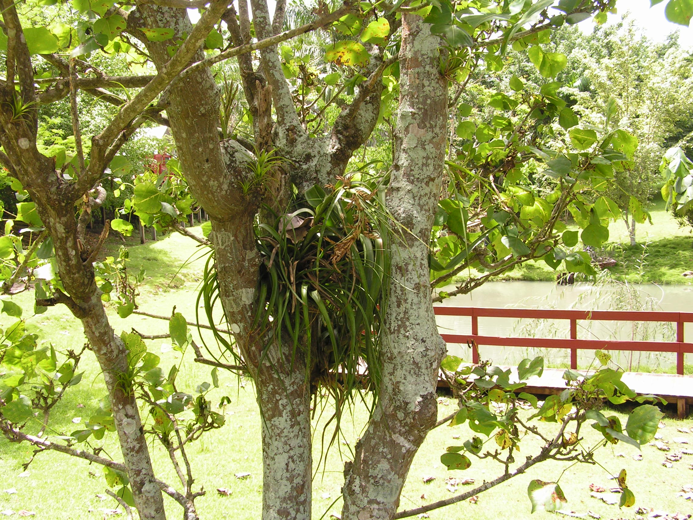 ./2005/Puerto Rico/Part 1/PICT0231.JPG